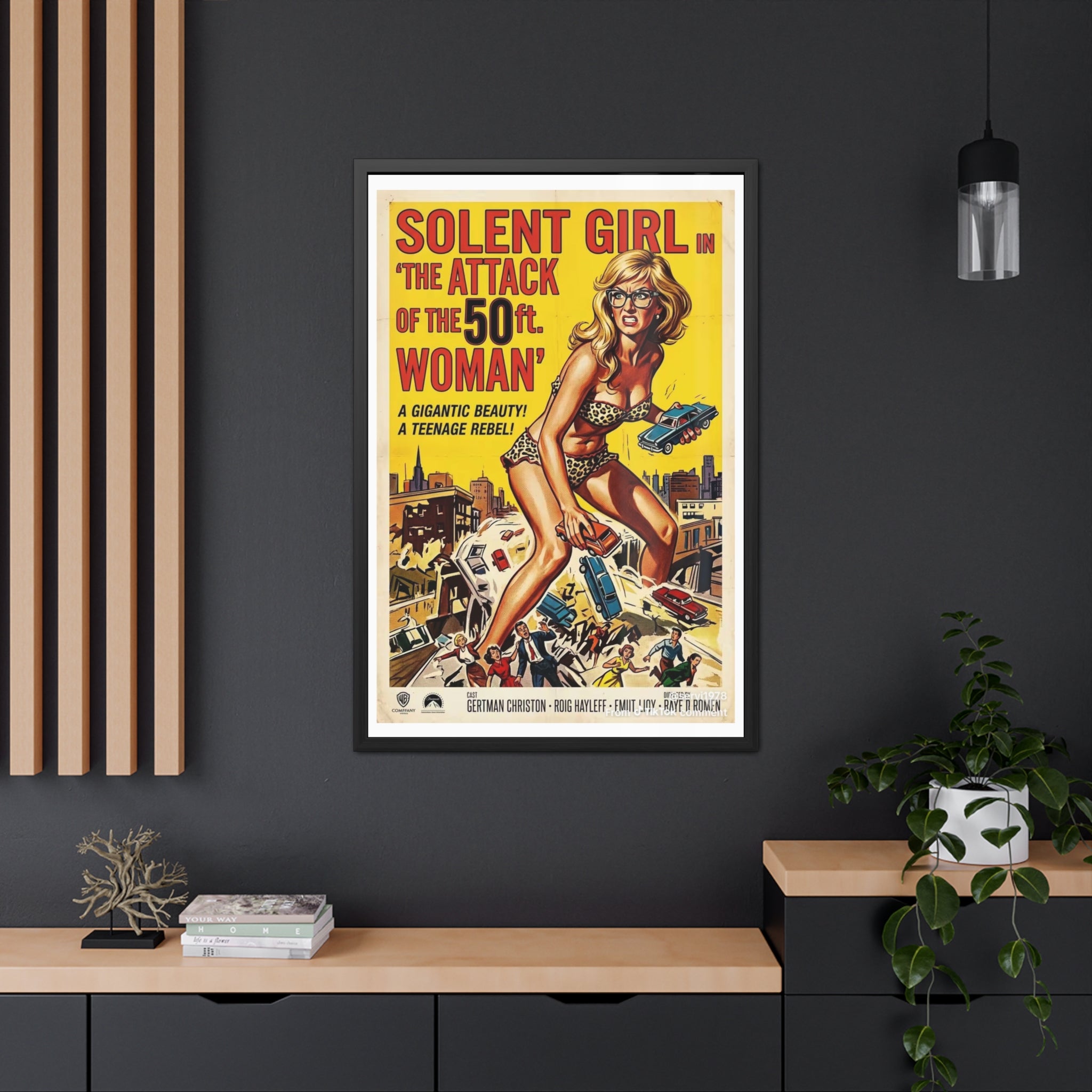 Framed Posters
