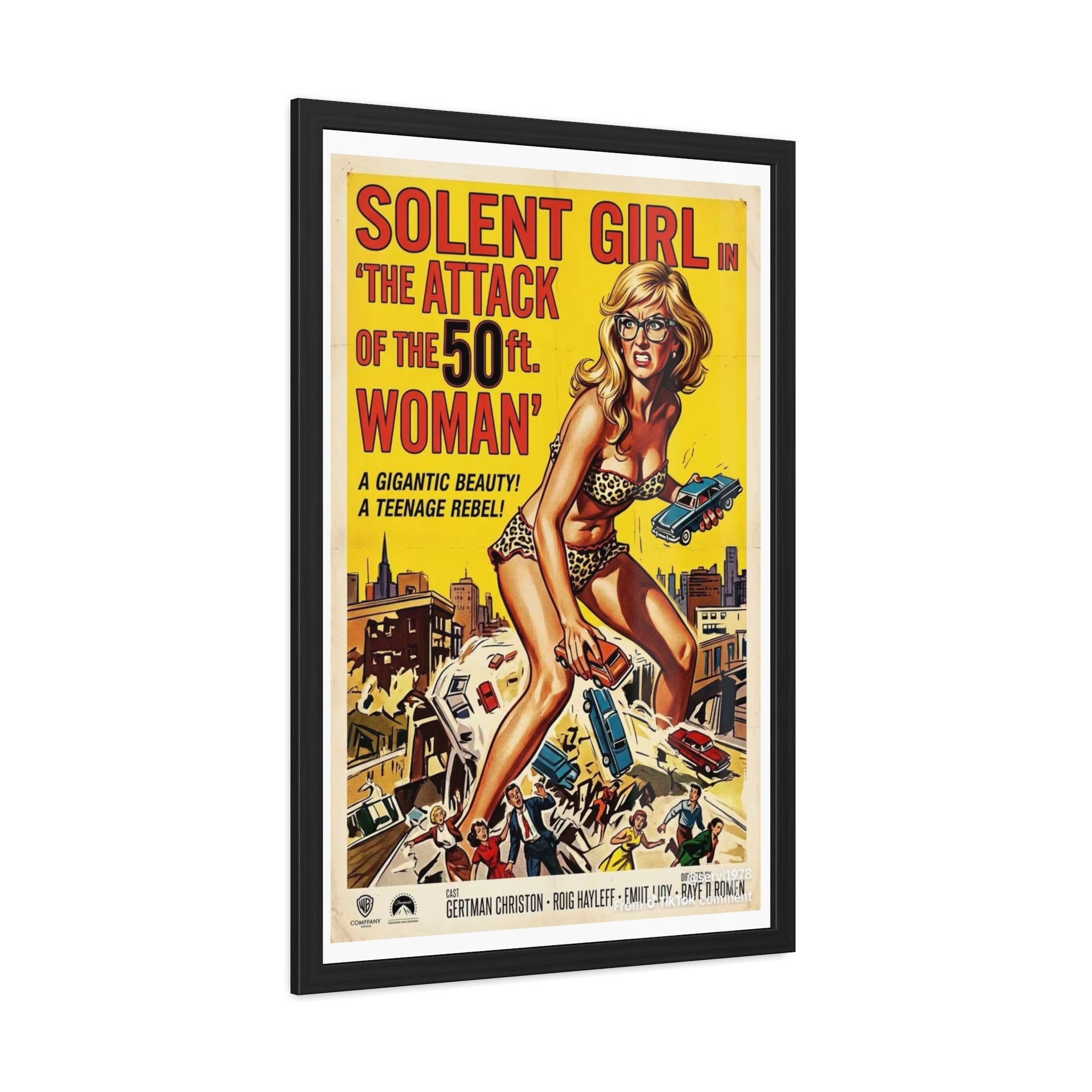 Framed Posters