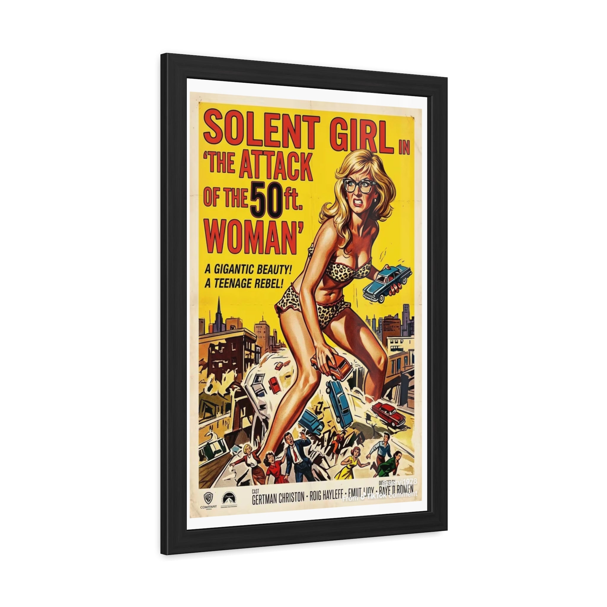 Framed Posters