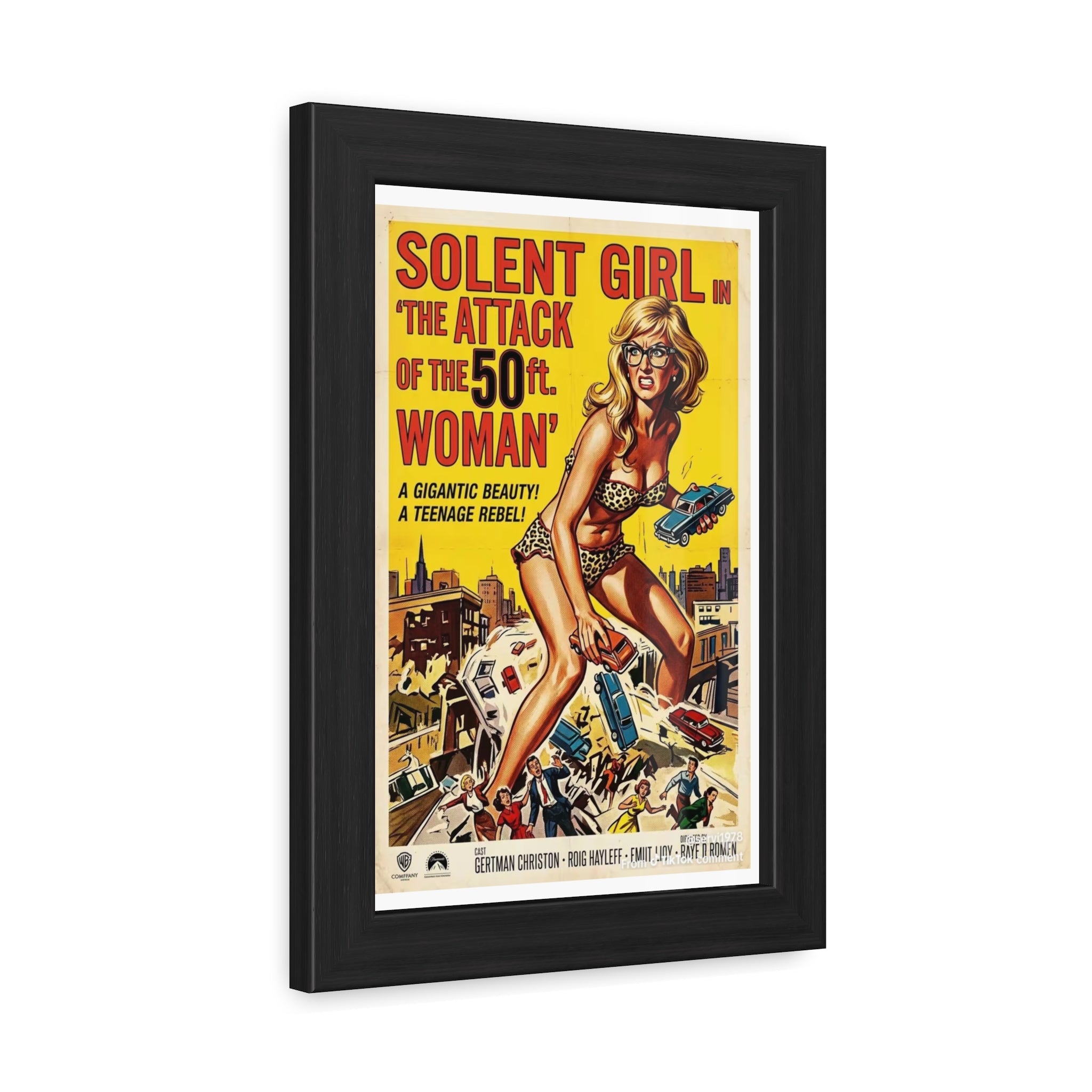 Framed Posters