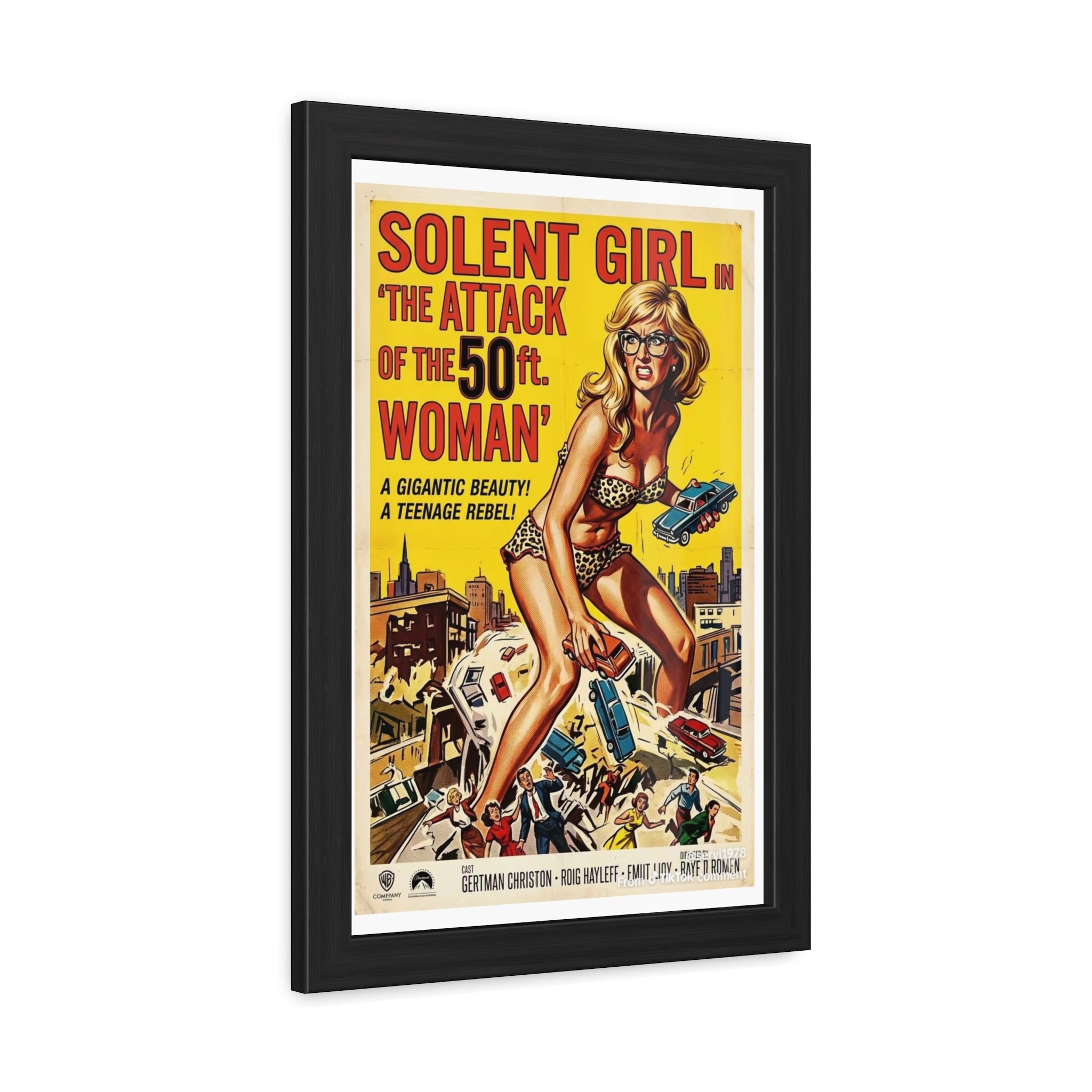 Framed Posters