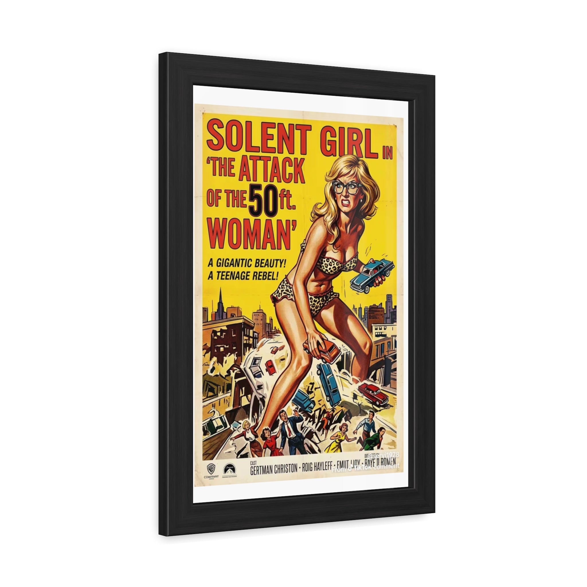 Framed Posters